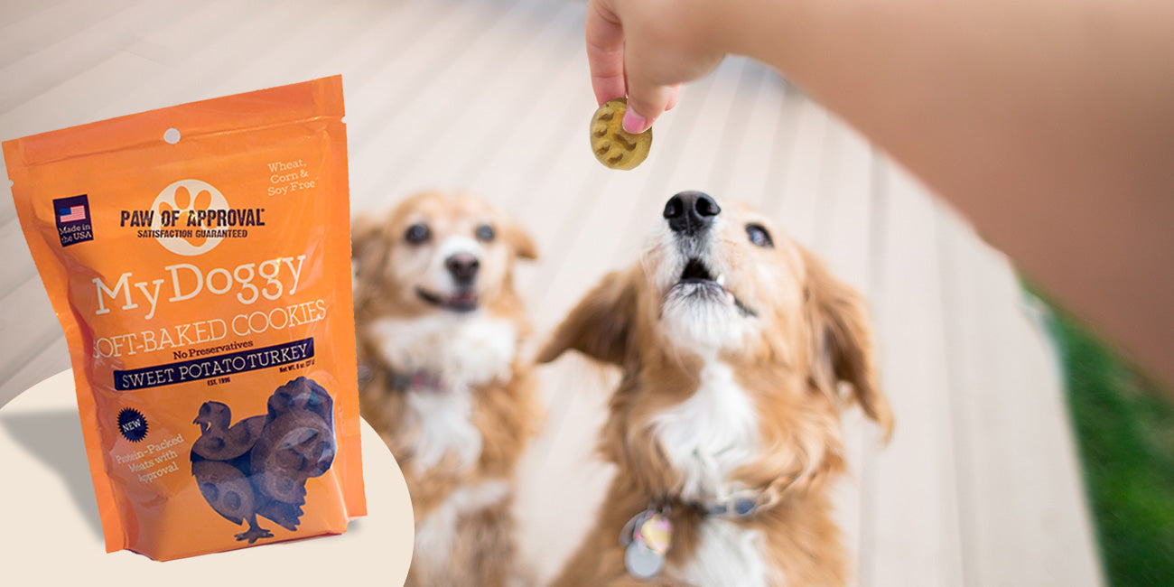 Treats For Your Best Friend