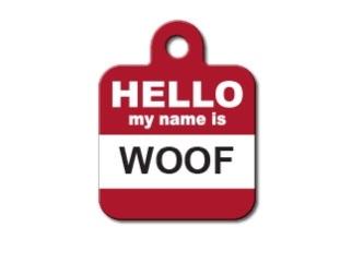 Square Hello / Woof