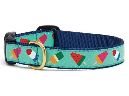 Up Country Pupsicles Dog Collar