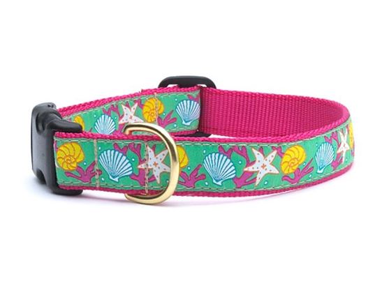 Up Country Reef Dog Collar