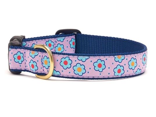 Up Country Flower Field Dog Collar