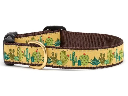 Up Country Succulents Dog Collar