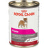 Royal Canin Canine Health Nutrition Puppy In Gel Wet Dog Food, 13.5 oz.,
