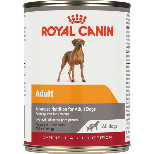 Royal Canin Canine Health Nutrition Adult In Gel Wet Dog Food, 13.5 oz