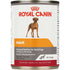 Royal Canin Canine Health Nutrition Adult In Gel Wet Dog Food, 13.5 oz