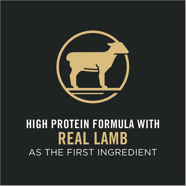 Pro Plan Adult Shredded Blend Lamb & Rice Formula Dry Dog Food