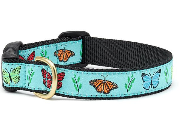 UpCountry Butterfly Effect Dog Collar